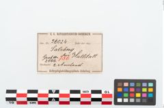 Etikett zu Bronzearmreif (NHMW-PRAE-026024)